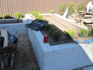 Drip tubing irrigation in raised bed. 
