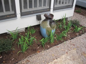 Charming fountain in a bed of Louisiana irises.  