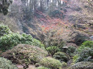 We spent our last day at the Japanese Gardens in Portland. 