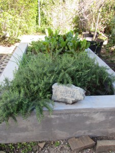 Here is the long shot!