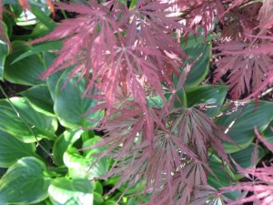 A striking combination of color and texture.