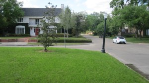 This is the corner last summer. 