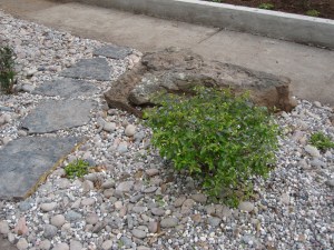 A smaller path and a boulder large enough to sit on. 