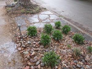 Another view, notice the path lights for night time visitors. 