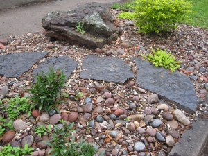 Small path 2 months later! 