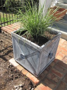 Jackie Planters from Branch Studios.