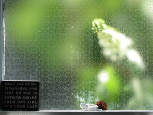 Tapping on my bathroom window : )