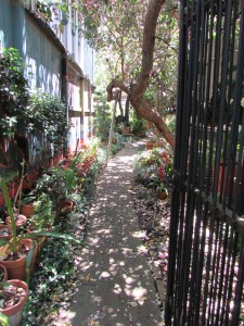 Your eyes is instantly drawn down the path and intrigued to see what the mural is depicting.