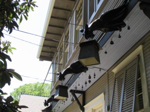 Griffin lantern holder