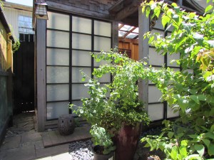 The orchid house, constructed with doors reclaimed from and office building. They weigh 500lbs. each.