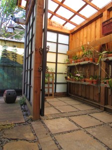 Walls lined with orchids. It is an enchanting space. Very still and with a pleasant warmth.