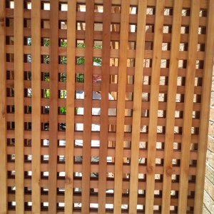 ...is that a reflection : )