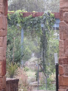 Pouring rain in Austin