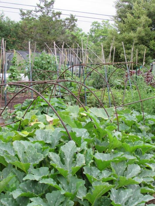 I want to re-create these re-bar arbors. 