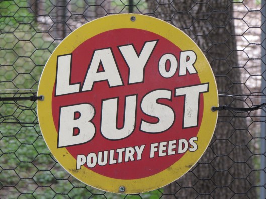 Lay or Bust sign