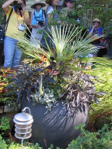 It was hard to take pictures without taking a picture of others taking a picture : )