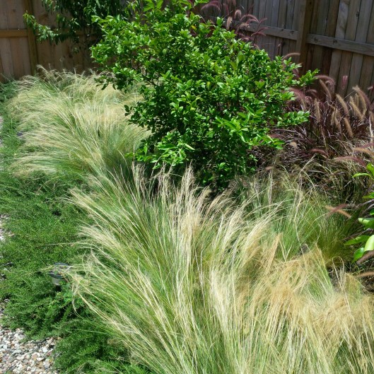 A visit a year on. Everything is filled in beautifully. 