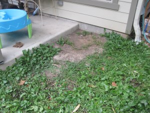 Dirt and weeds to north of patio. 