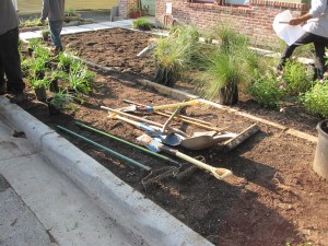 Getting ready to set out plants for planting.