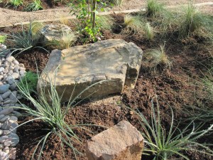Large flat rock with slight indent that can hold water. 