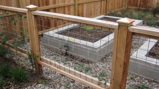 Starting to plant herbs and vegetables.