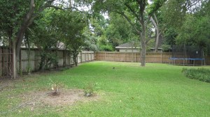 Before - view from master and family room 
