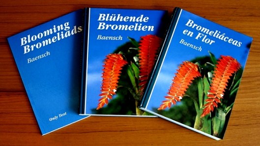 book blooming bromeliads