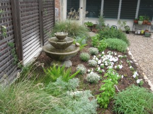 Some new additions to the herb and perennial bed. Spring 2013