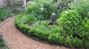 This is a garden we installed several years ago for a couple from Canada that were avid bird watchers.