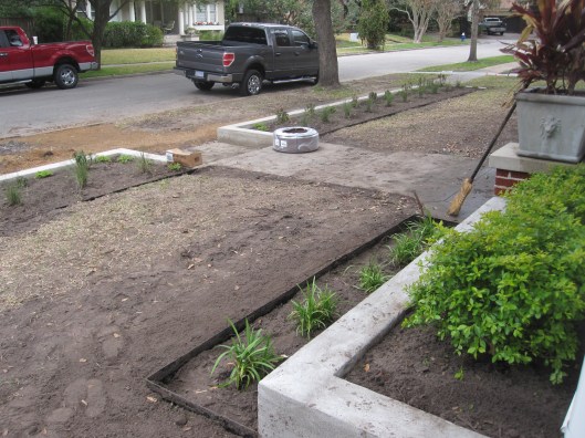 View to street over raised bed. 