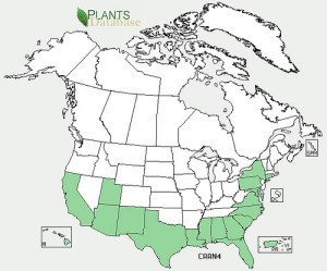 Map of areas where Chili Pequin might be found. 