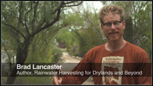 Free-Water-Andrew-Brown