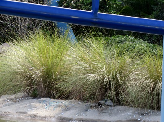 I noticed the use of ornamental grasses through out the park.
