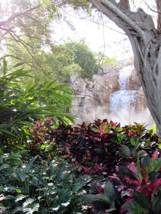 Plants are used to create frames for views , like of this waterfall.