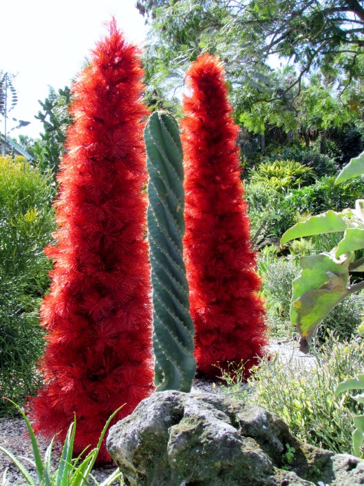 I loved the contrast of red and green.