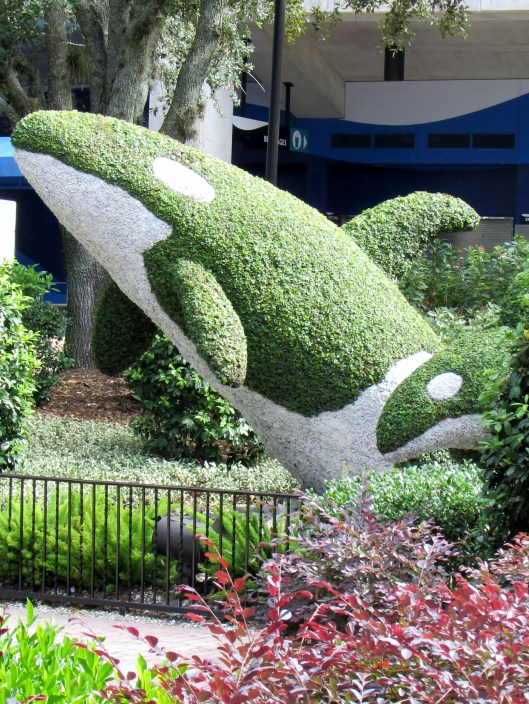 A Shamu topiary, I thought that was pretty cool!