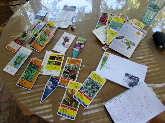 Debra is documenting the progress of each plant in her garden as research for her book. 