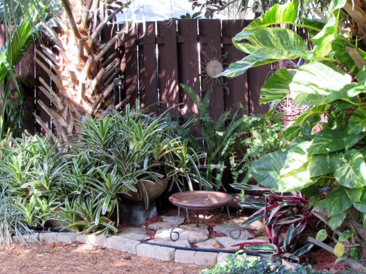 A nice tropical vignette with a water source for wildlife. 