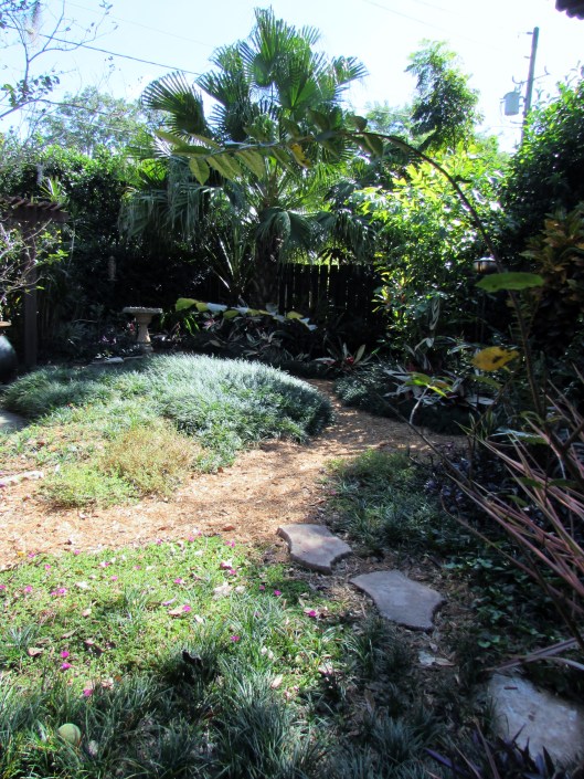 This open area is a combination of grasses and path made of pine needles. 