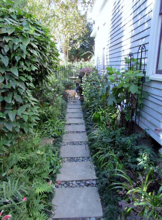 The Pennsylvania blue-stone path. 