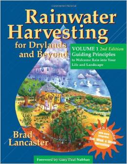 rain water harvesting