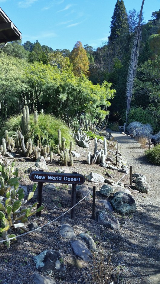 Deserts of the Americas