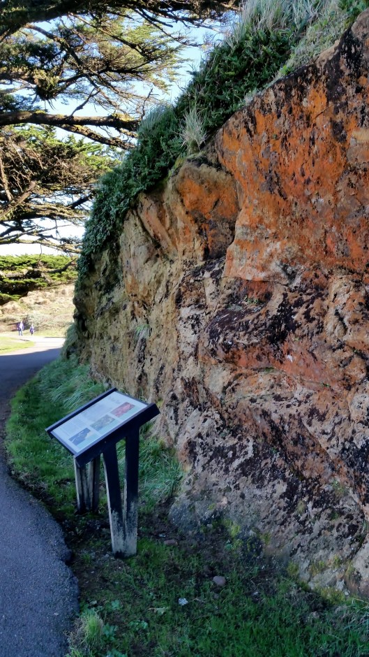 The rust colored stuff on the cliff side is Trentepohlia, a blue-algae  that has a large quantities of carotenoid pigment which masks the green of the chlorophyll. 