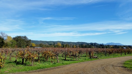 The weather was spectacular. 