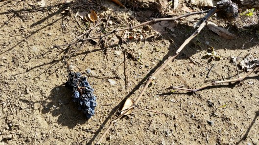 The light and shadows of these dried grapes caught my eye. 