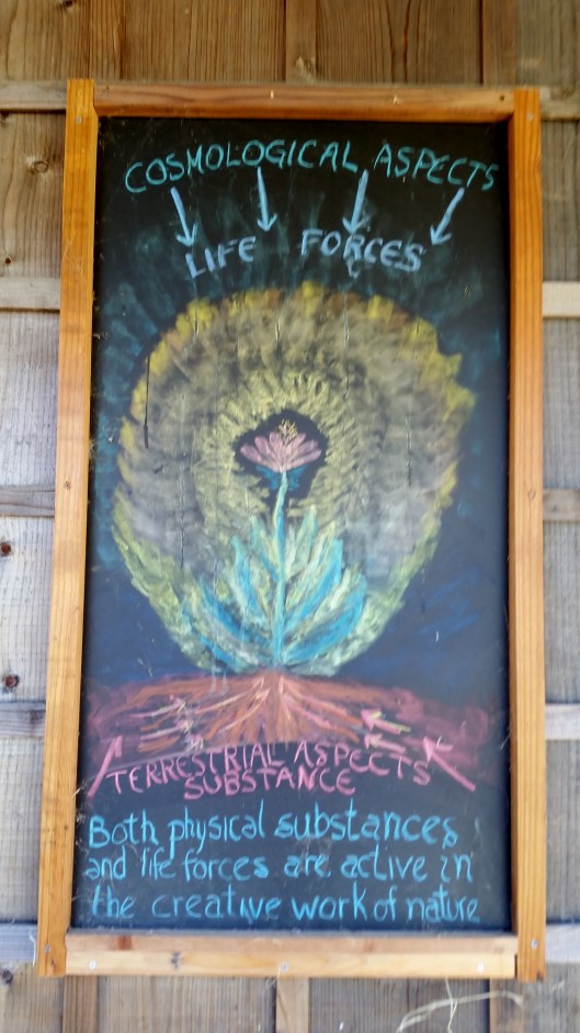 chalk board