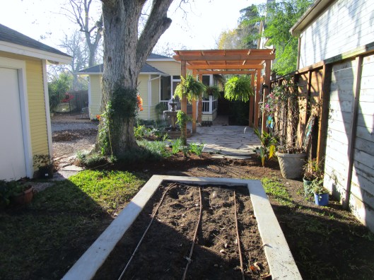 View from back across the raised bed.
