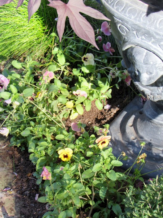 Small pansies around the urn