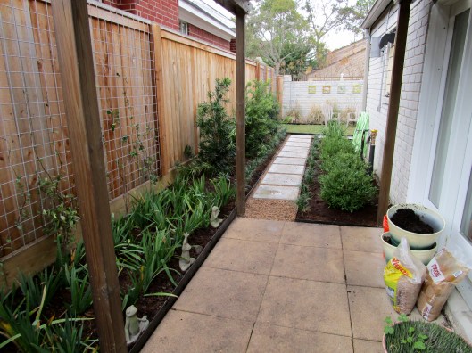 Side yard newly installed.