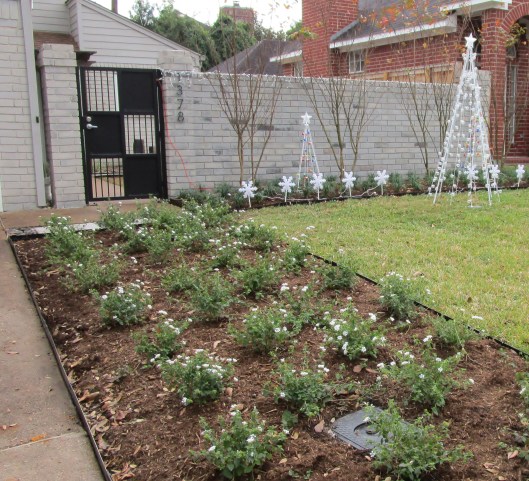 Freshly installed and decorated for the holidays!